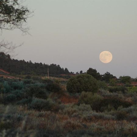 Casa Dos Lagares De Vara E Pedra Vila Flor Bagian luar foto