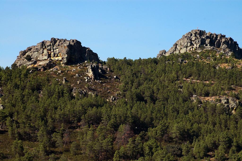 Casa Dos Lagares De Vara E Pedra Vila Flor Bagian luar foto
